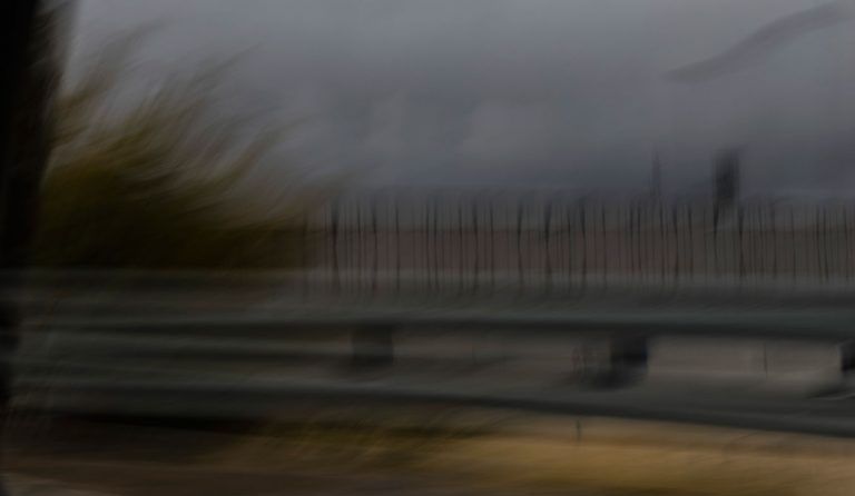 Arte contemporáneo. Galería Fernando Gómez