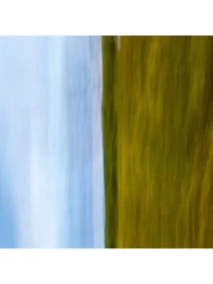 Galería de arte online. Título VIDA