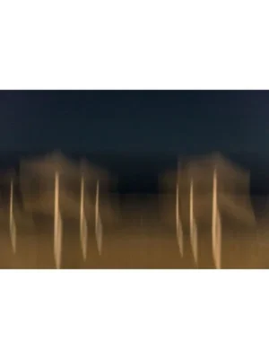 Galería de arte online. Titulo FINAL DEL VERANO II
