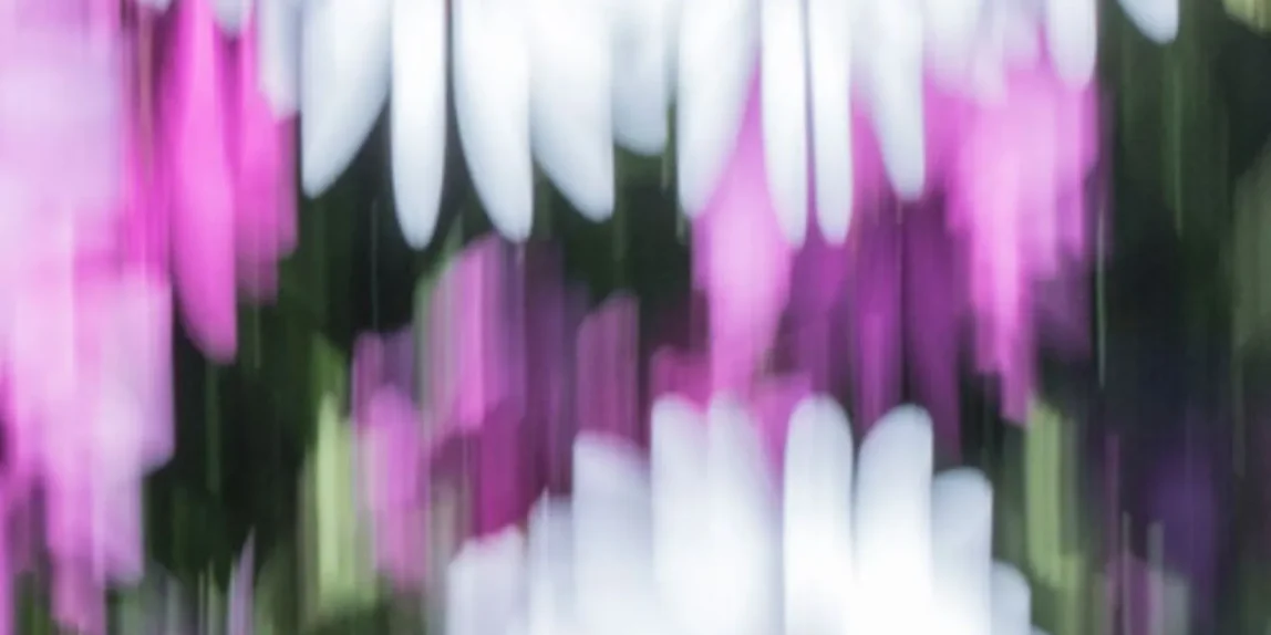fotografía arte y decoración
