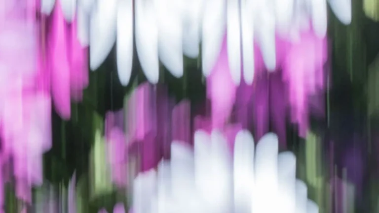 fotografía arte y decoración