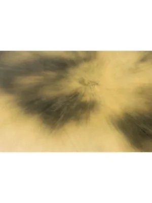 Comprar arte ONLINE. Título ABSORCIÓN
