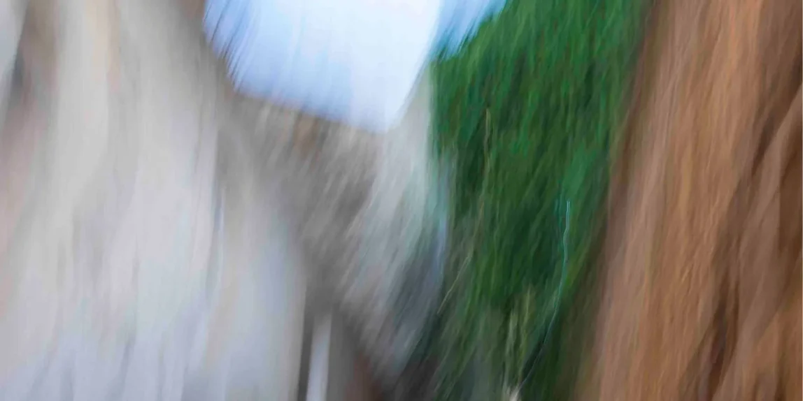 Cómo empezar a coleccionar arte sin ser experto