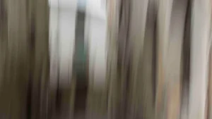 Galería de arte online Cómo encontrar tu estilo